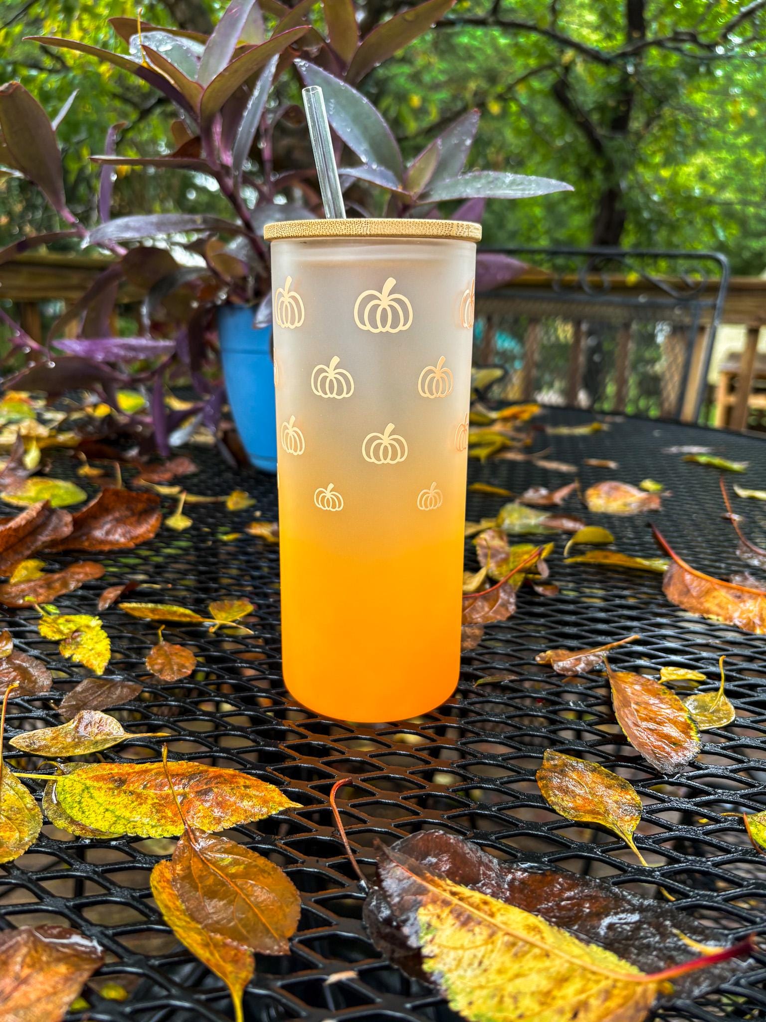 Orange Ombre Pumpkin Glass Iced Coffee Cup with Lid & Straw
