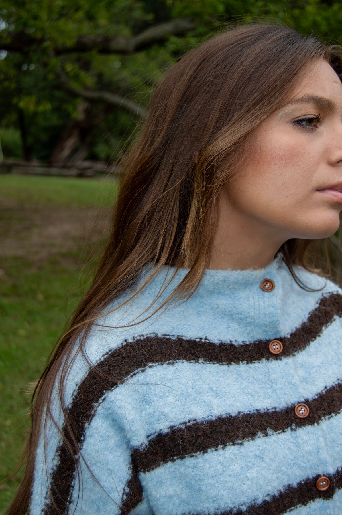 Autumn Air Sweater — Blue/Brown Stripe